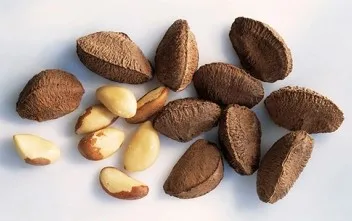 Organic Brazil Nuts for sale