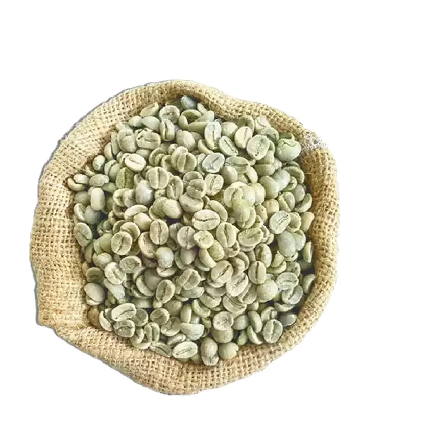 Vietnam High Quality Best Selling Raw Roasted Processing Arabica Green Coffee Beans In Plastic Packaging