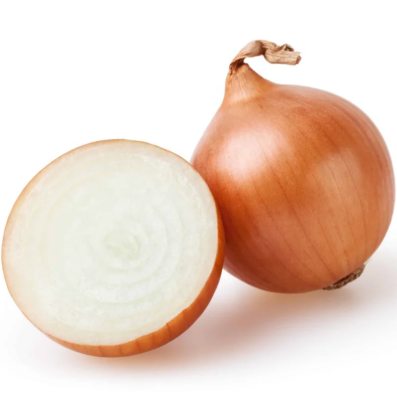 new crop fresh onion with good price