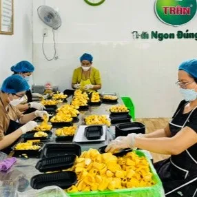 HOT SALES- FROZEN JACKFRUIT- MADE IN CAN THO VIET NAM