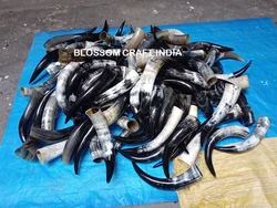 Best Quality Buffalo/Ox Drinking Horn with Leather Holder and Iron Stand  100% food safe for Drinking by BLOSSOM CRAFT INDIA