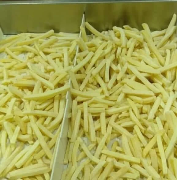 French Fries top quality for wholesale with low price