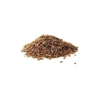 Cumin Seed Available in Different Quality and Competitive Price From Brazil  in Customize Packing Natural Fennel Seed for Sale