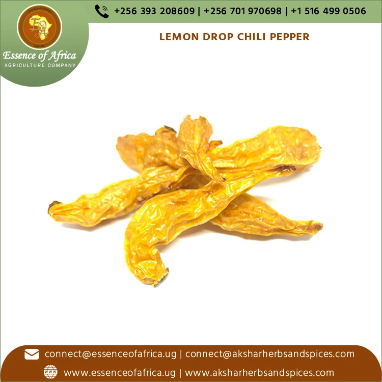 2022 Best World Wide Selling High Quality Hot & Spicy Lemon Flavor Chili Pepper for Bulk Purchasers