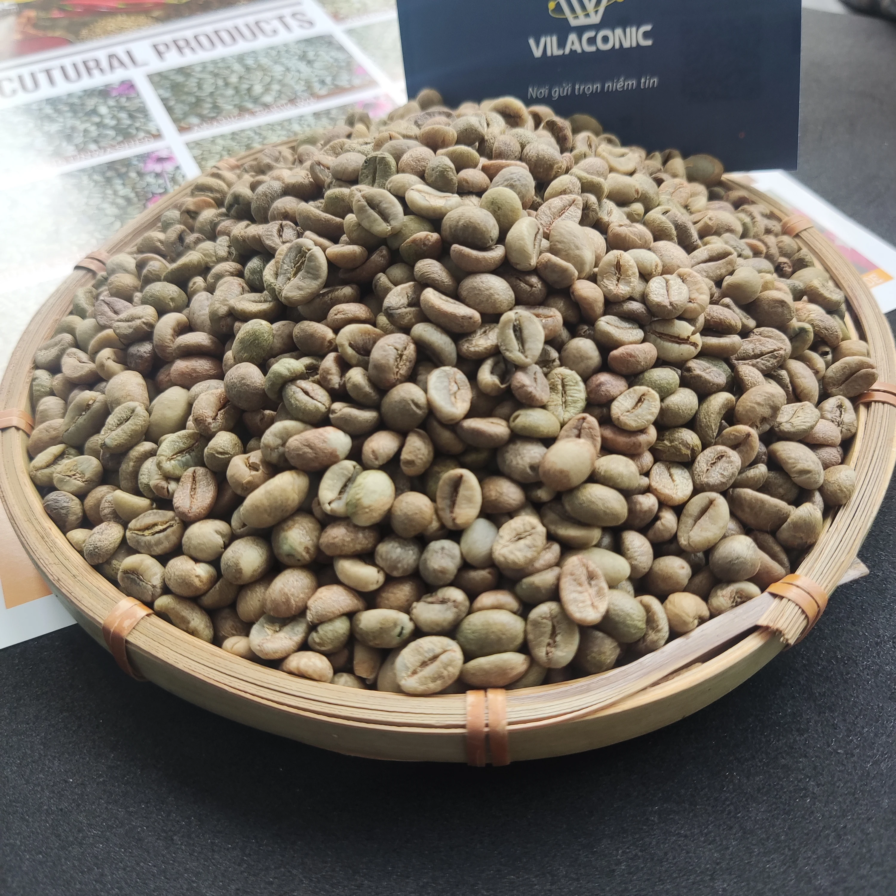 Оптовая продажа вьетнамский КОФЕ ROBUSTA зеленая фасоль SCR16 SCR18 Неочищенный влажный лак очень дешевый высокое качество на экспорт оптом