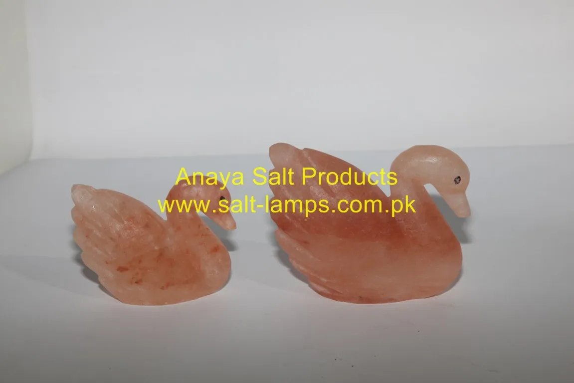 Himalayan Elephant Shape Red Rock Salt Crystal Lamps / Himalayan Animal Shape Salt Lamps