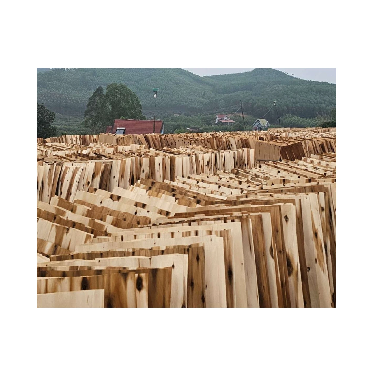 Vietnam High-quality Engineered Veneer // WHITE RECON VENEER SHEET Composed of Wood Sliced for Construction Ready to Export