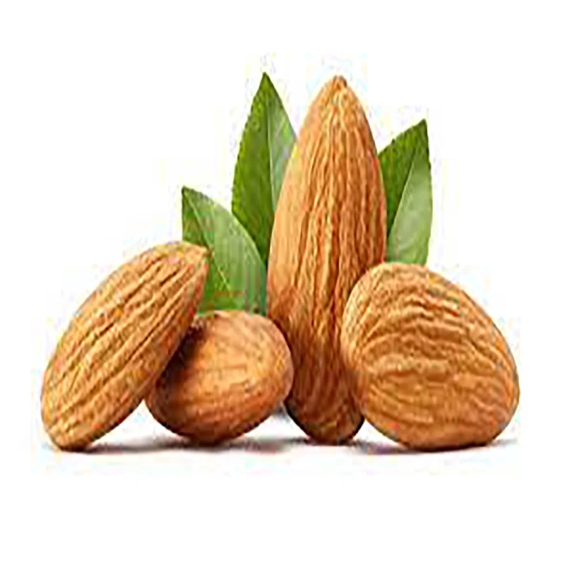 Factory price Almond Nuts / Sweet Almond Nuts