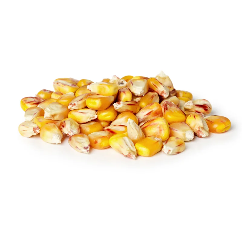 Premium High Quality Yellow Corn Maize Grains Feed Corn Maize for Animal from CA;9 Non-glutinous 50 Kg Dried 1 Cm AD
