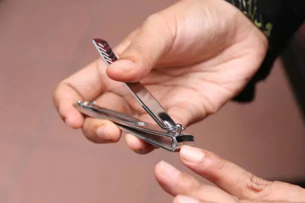 Wholesaler New Nail Cutter Cuticle Nail Clipper Stainless Steel Tools Customized