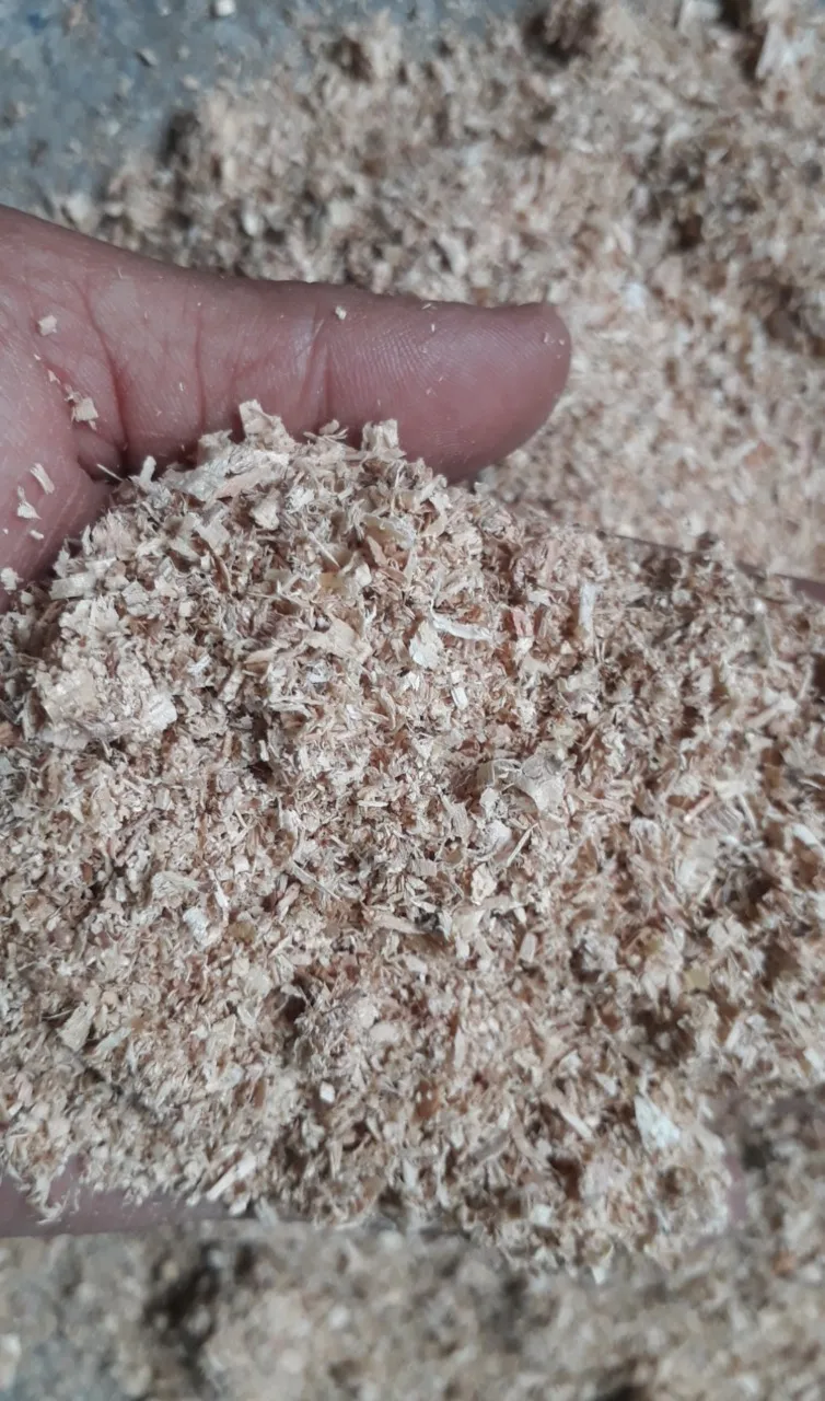 Cheap Wood Sawdust - Wood chips & Wood Shaving for Horses