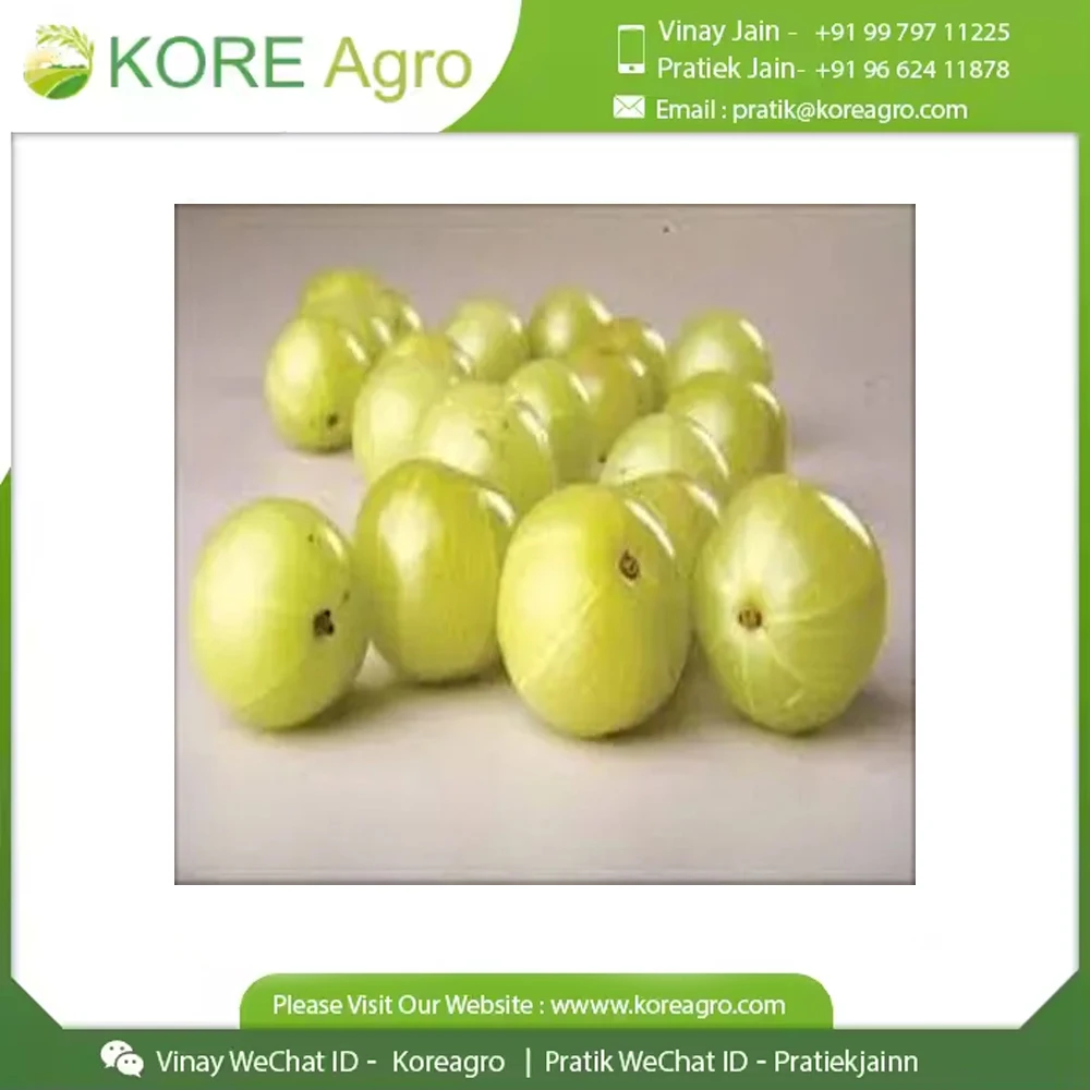 Высокое качество весь производитель Amla богатый витамином C OEM Private Label Powder Form Product Hair оптом