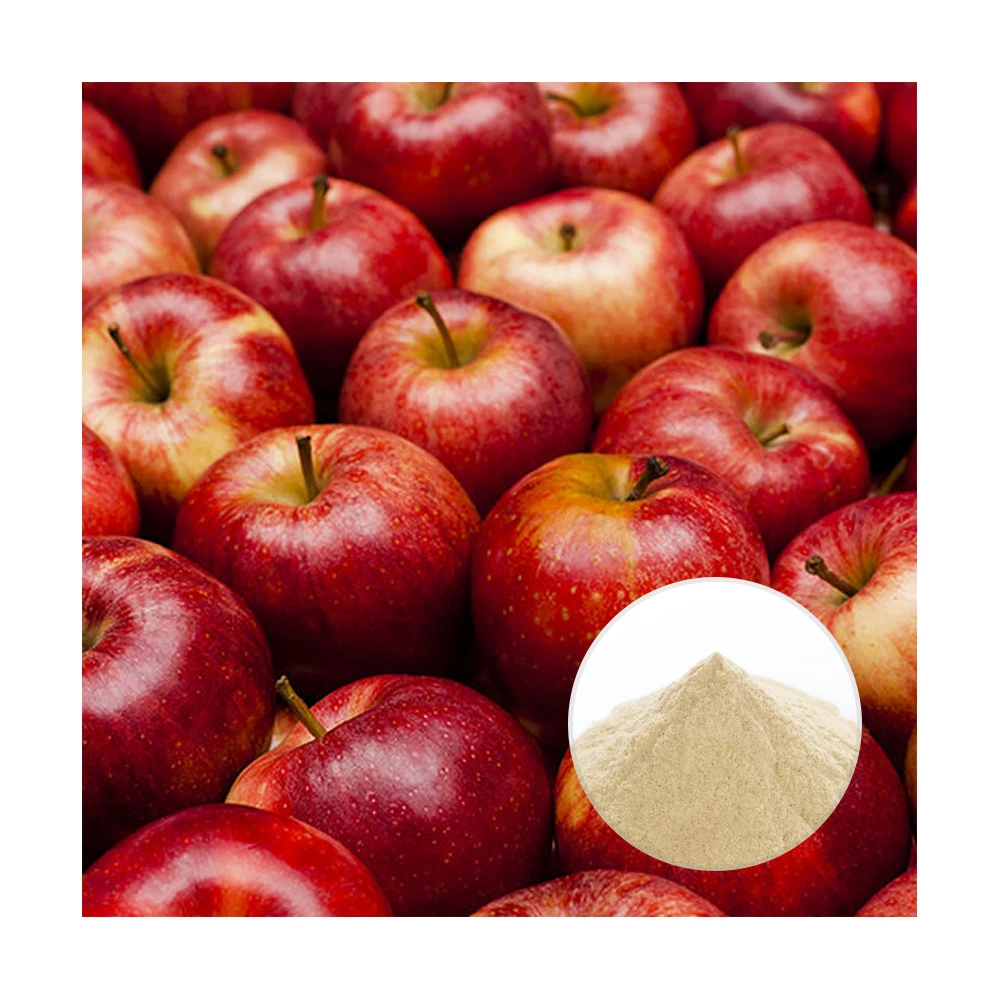Daily Use Fruit Powder Dry Apple Juice Powder Rich In Multiple Vitamins Healthy Powder Supplier
