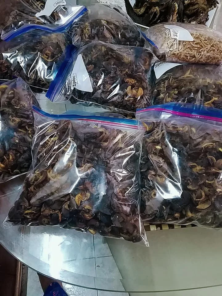 TOP QUALITY FRESH EDIBLE SNAILS/DRIED SNAIL/FROZEN SNAIL