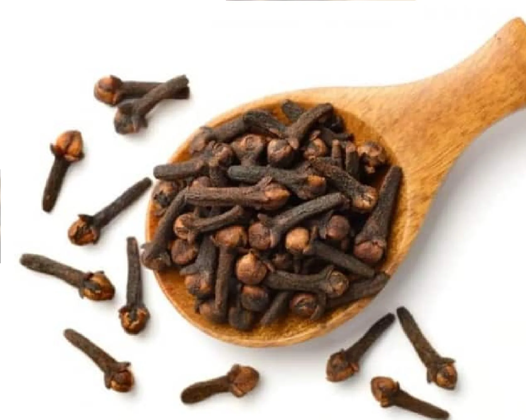 Wholesale Organic Cloves High quality From FADO iExport Vietnam For Food Spices New Crop 2022 Cheap Price