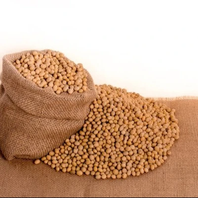 46% Protein soy flour Best price Fish flour spelt flour