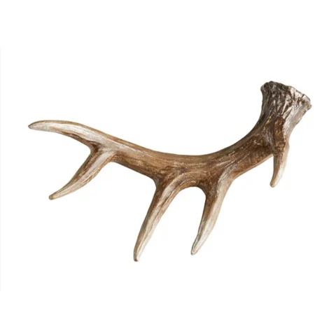 Naturally Shed Whole Red Deer Antlers
