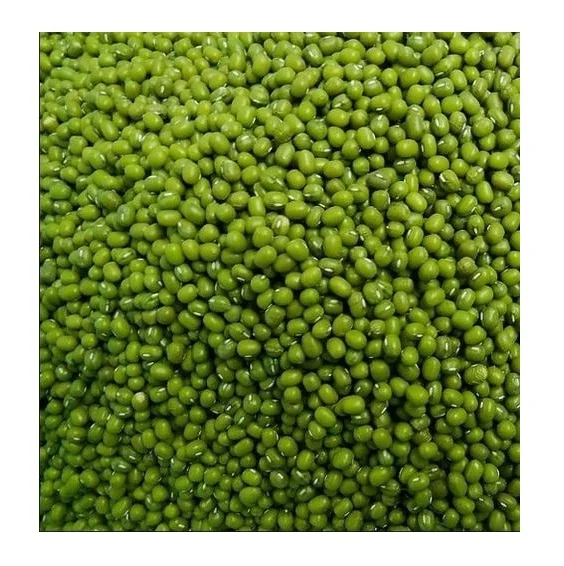 Direct Supply moong dal 3.8mm big size vigna beans mung dal Sprouting Green mung beans Bulk Fresh Stock Available For Exports