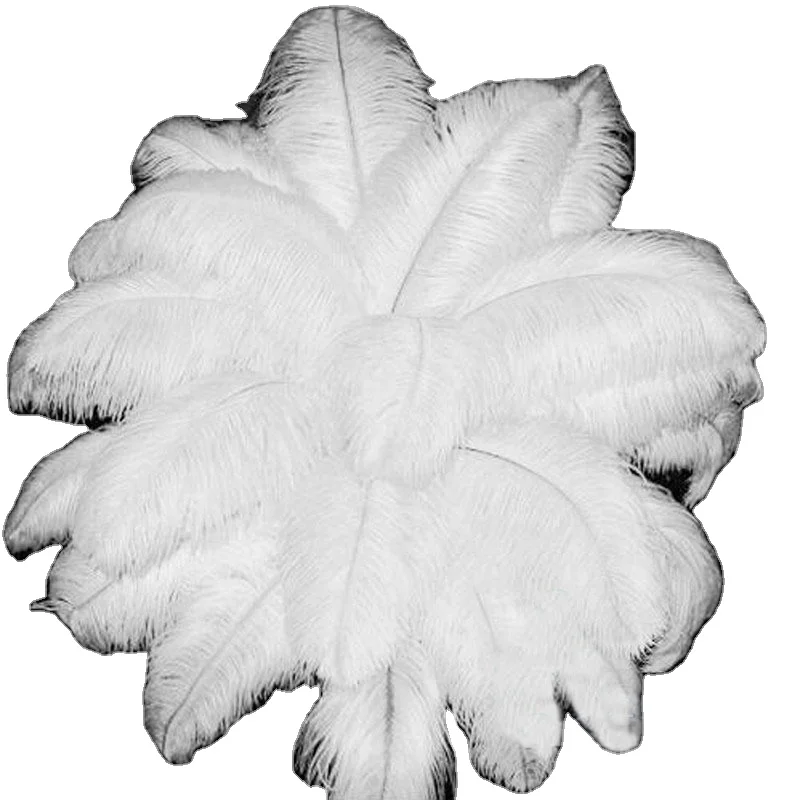 Factory Direct The High Quality Badminton And Shuttlecock Raw Material Of White Goose Feather