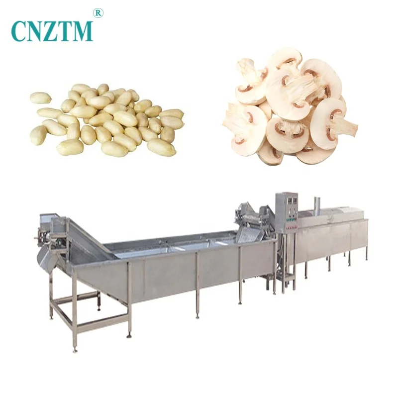 Automatic Continuous Spinach Frozen French Fries Vegetable Potatoes Fruit Mushroom Peanut And Groundnut Blanching Machine