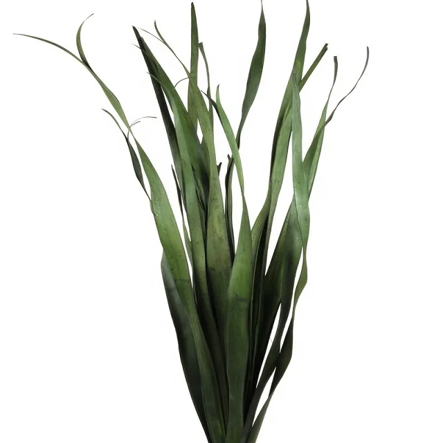 Decorative palm leaves for floor vase colored and dried arrangements for home and business decoration Floral Decor Faux Grass de