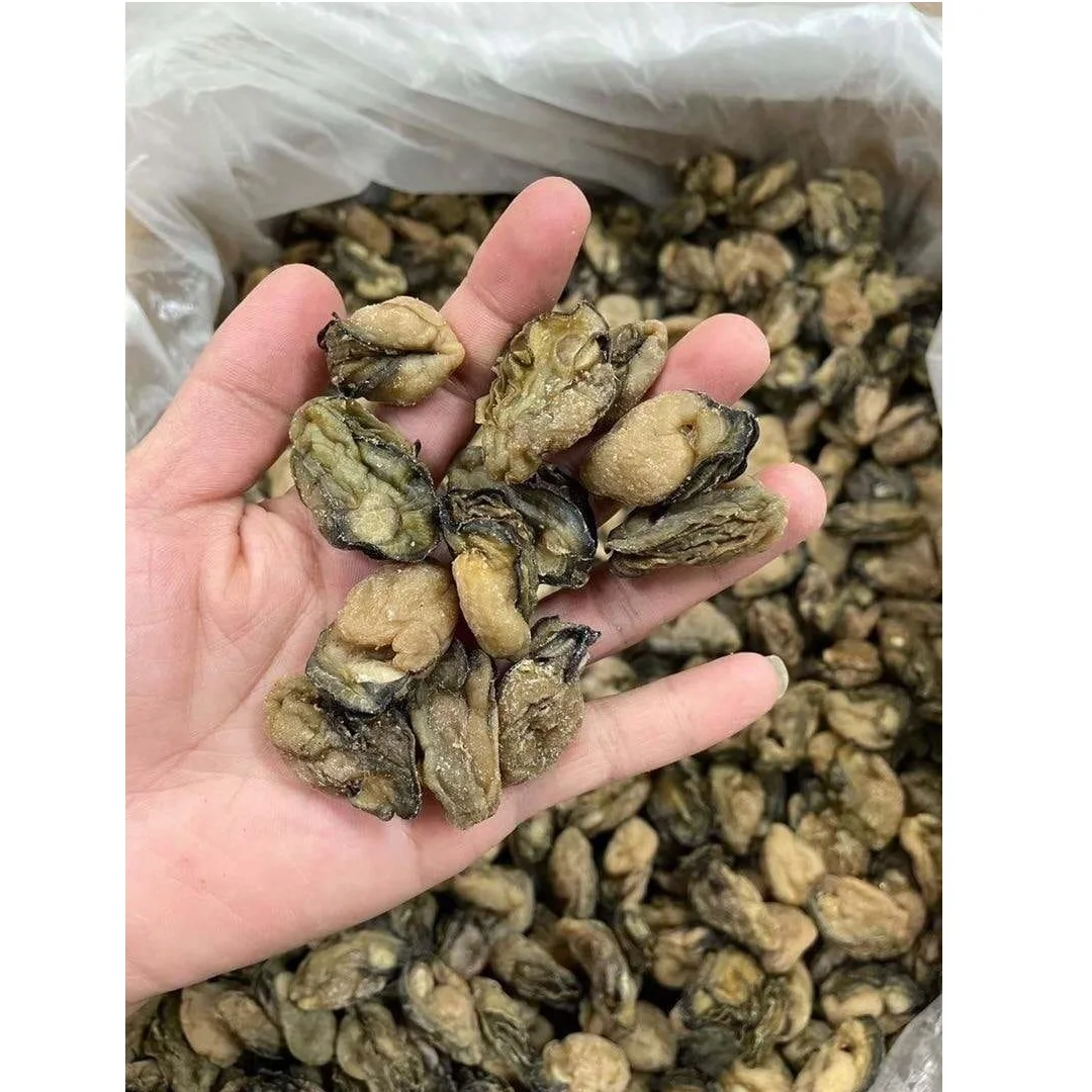 Protein New Salt BQF Freezing Process Air Without Shell Sun-dried Oysters [100GRAMS] In Gift Packing For cooking