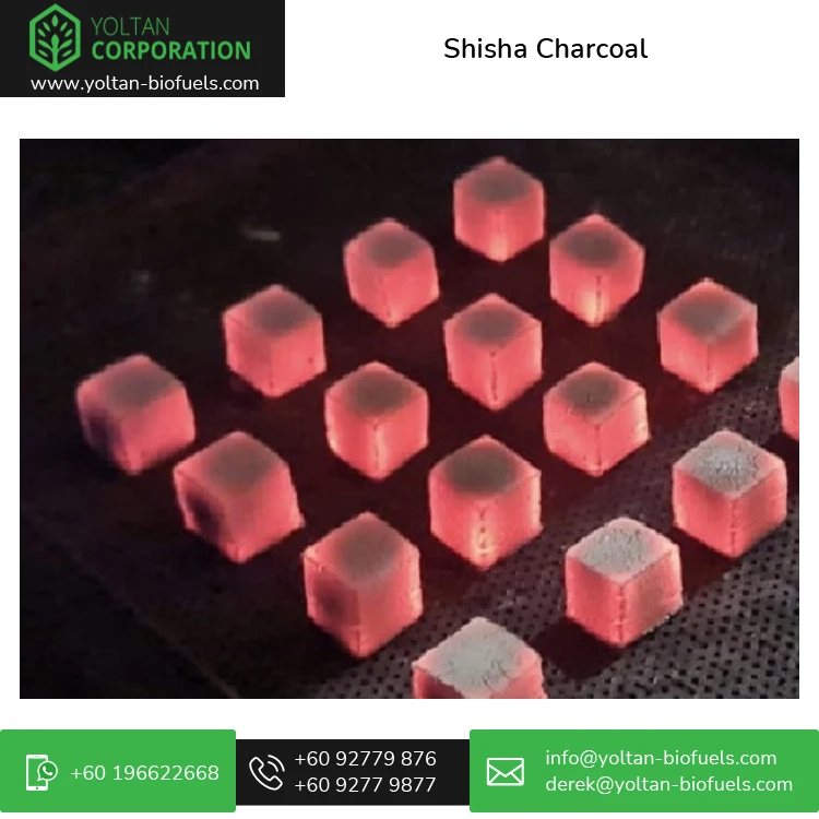 High in Heat 100 % Coconut Shell Hookah / Shisha Charcoal at Best Best Market Price | OEM Supply Available