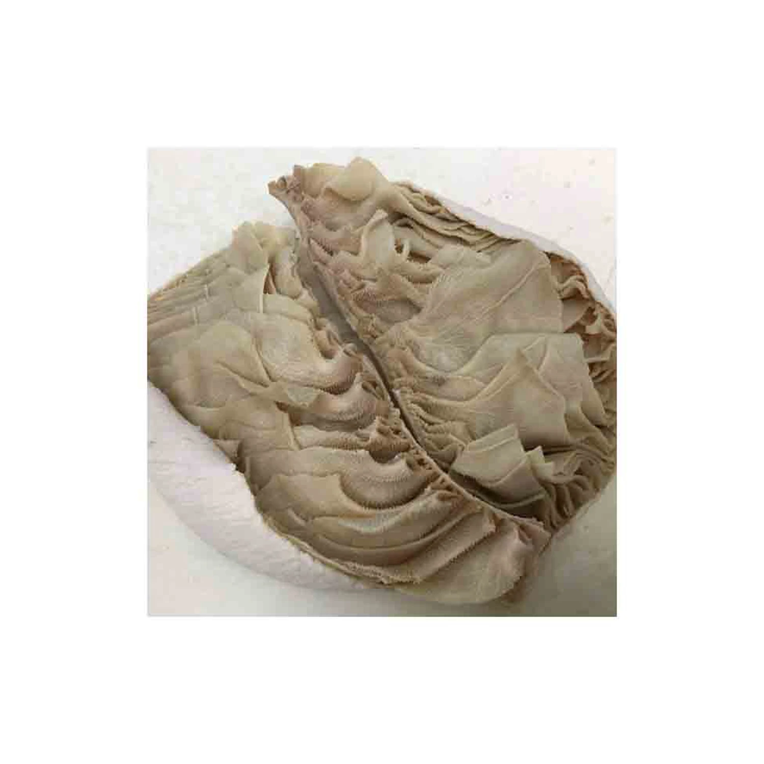 Salted & dried frozen & fresh omasum / beef meat omasum , High Quality Omasum / Omasum Suppliers from France