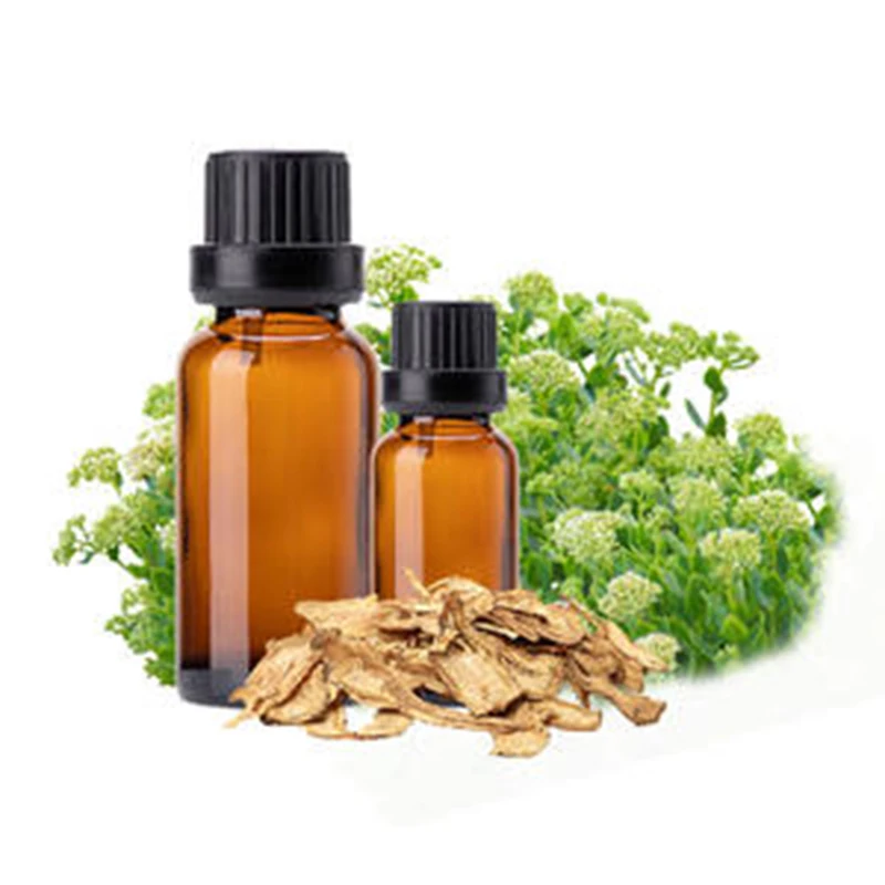 Cheap Price Pure And Undiluted Angelica Archangelica Root Oil 100% Liquid Angelica Root Oil Wholesalers Of Angelica Root Oil