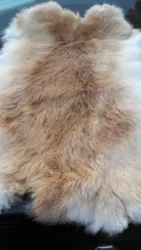 RABBIT FUR PELT