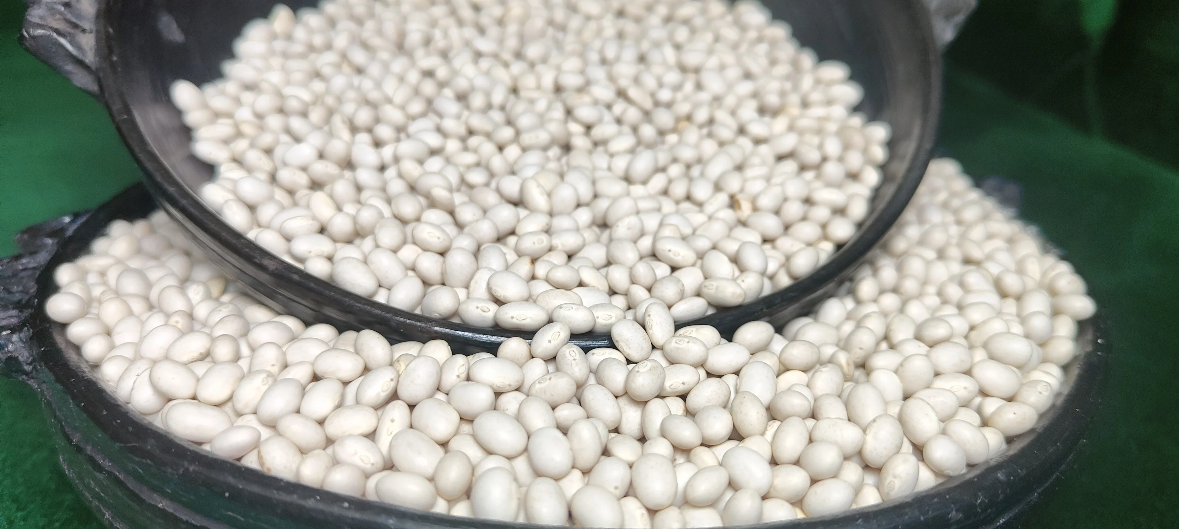 2024 Crop Ethiopian White Pea Beans, 420-450PCS/100gm, 98.5% Purity, Bright White & Natural Wholesale Bulk Dried