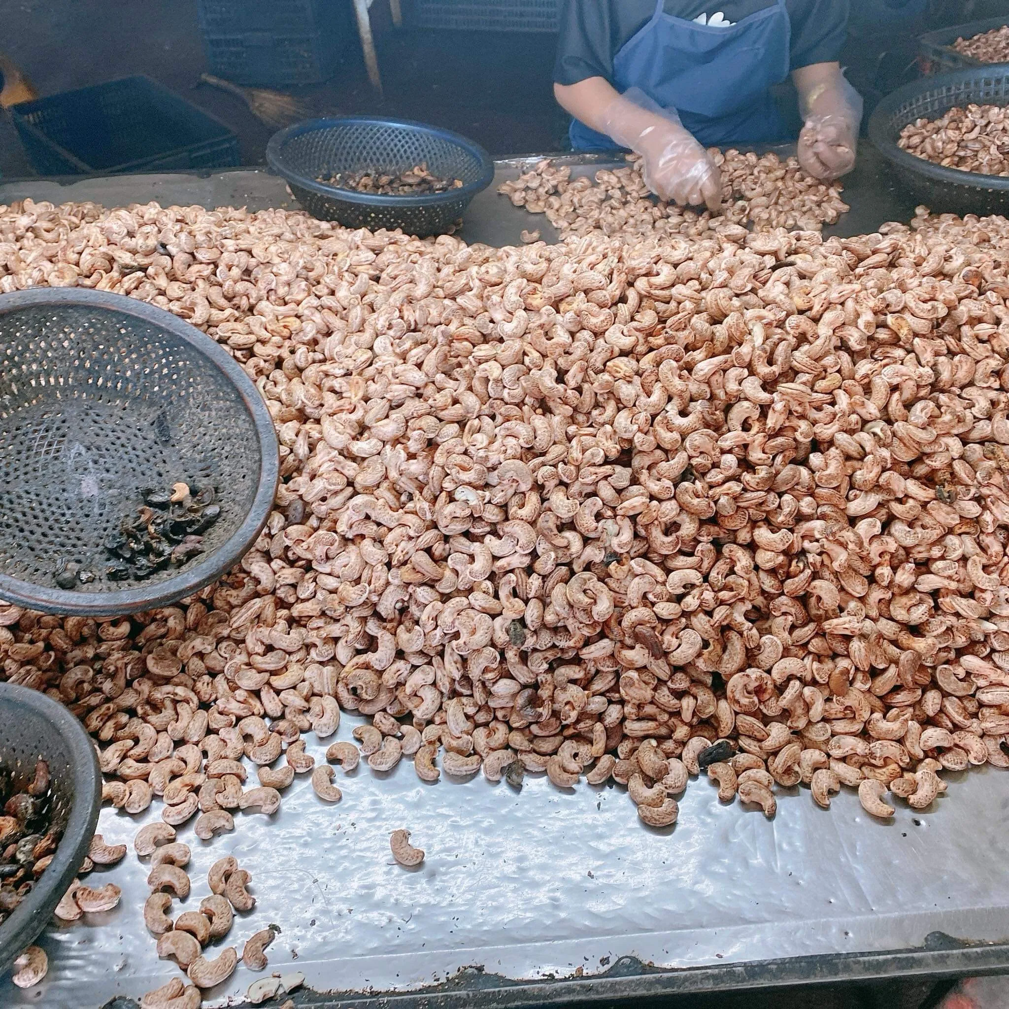 Экспорт высококачественных сырых/соленых жареных орехов кешью отборные вьетнамские Knell Размер W180 W240