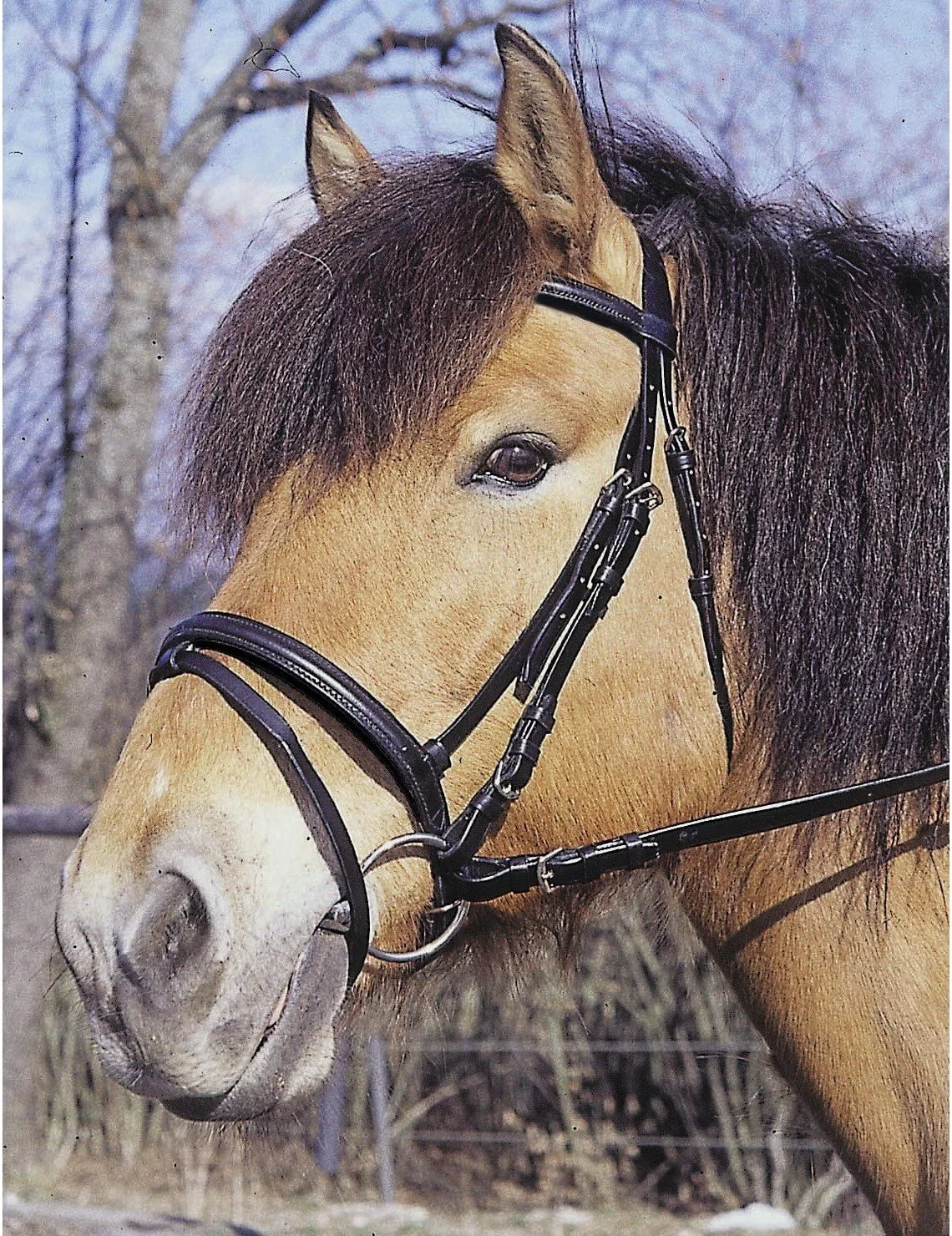 Wholesale Custom Equestrian Leather Horse Figure 8 Bridle Rhinestone Jeweled Show Head Gear Cross Noseband Horse Equipment