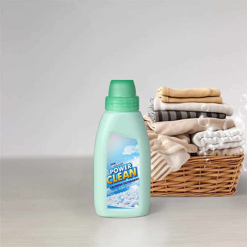 Hottest Selling OEM Economy 500ml Detergent Liquid Optimize Deep Cleaning for Laundry & Apparel with Eco-Friendly Delivery