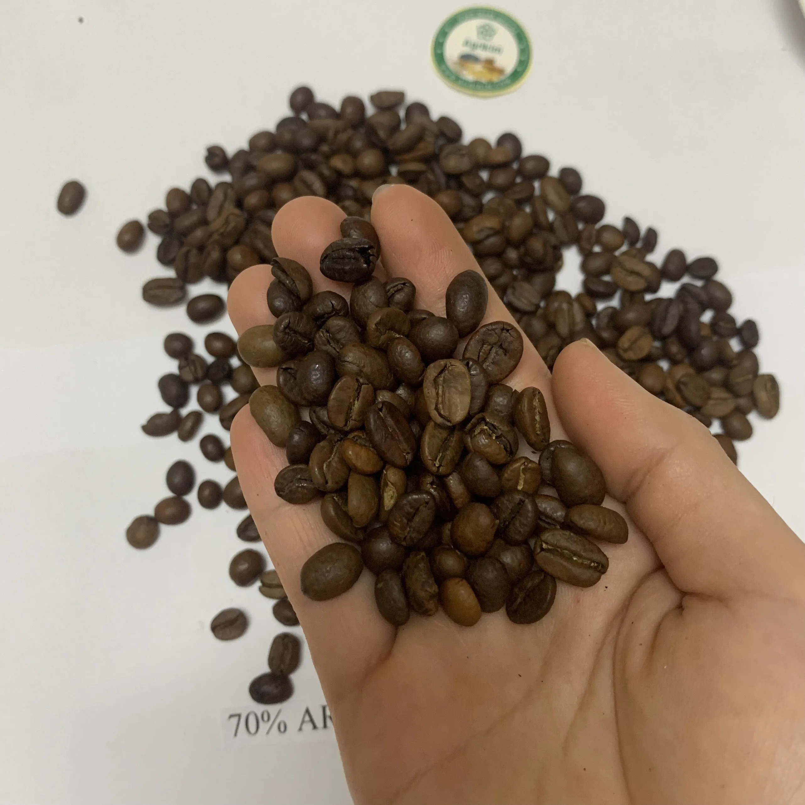 Premium Quality Roasted Whole Bean Arabica Washed Strong Good Taste Hot Selling Available in Bulk whstsapp +84 326055616