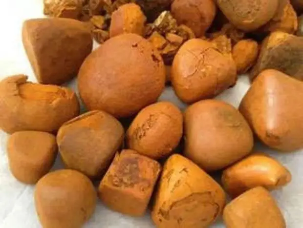 Quality Dried Cow Ox Gallstones / Cattle gallstones for sale