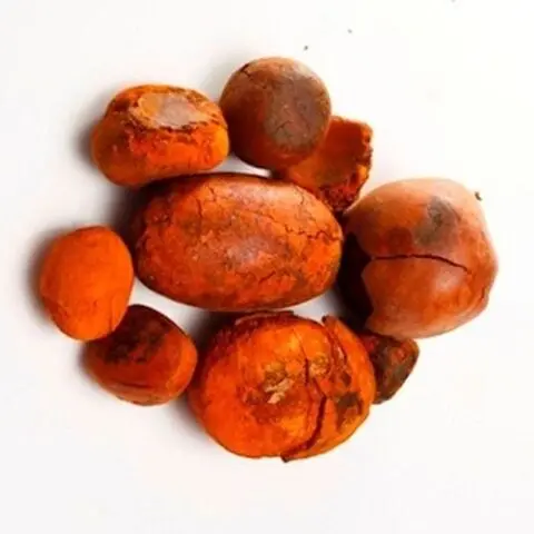 Premium Quality Gallstones Cattle Ox Cow Gallstones for sale in good price
