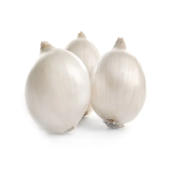 New Crop Premium Fresh White onions(Premium Quality Fresh Onion)