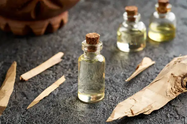 Wholesale bulk price Indian red sandalwood essential oil 100% n-a-t-u-r-a-l organic pure sandalwood oil for Aromatherapy