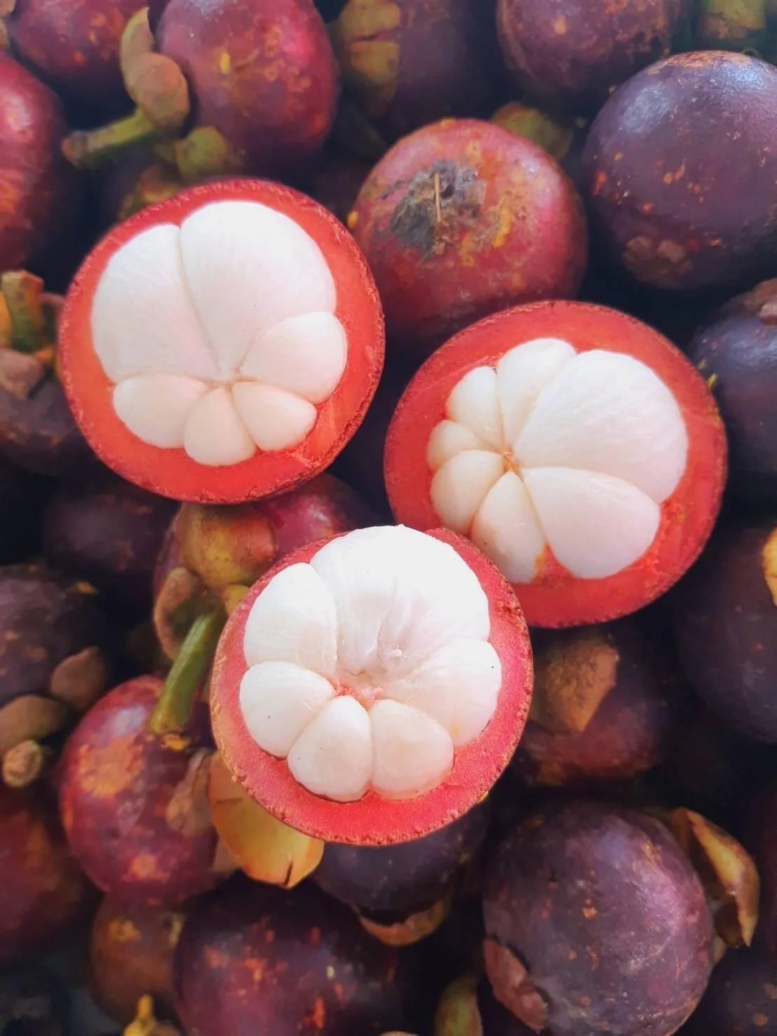 Высококачественный свежий мангостин из Таиланда 100% натуральный высококачественный свежий мангостин с лучшим вкусом