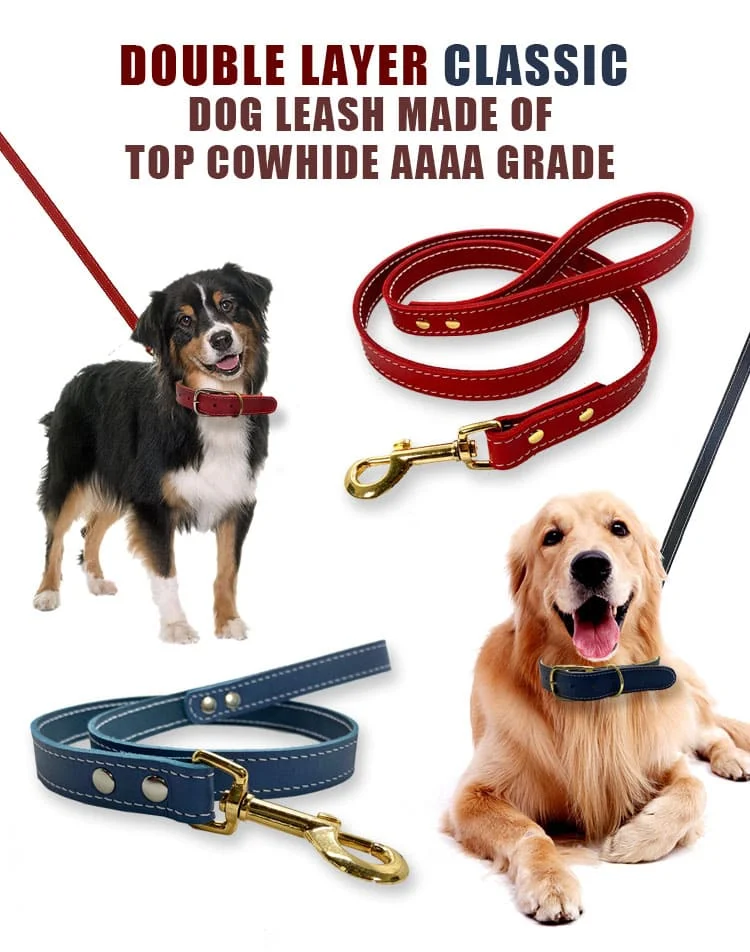 Dog Leash T26 N3L03