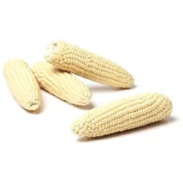 Top Quality At Factory Price Corn Shelled Corn Drier Corn