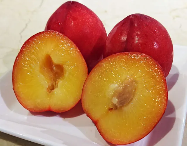 Summer Angel Fresh Plum from Japan