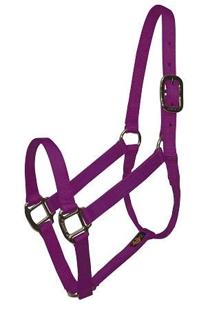 High Quality Nylon Halter Braided Horse Lead Rope Leather End Fastening Lead Rope For Sale