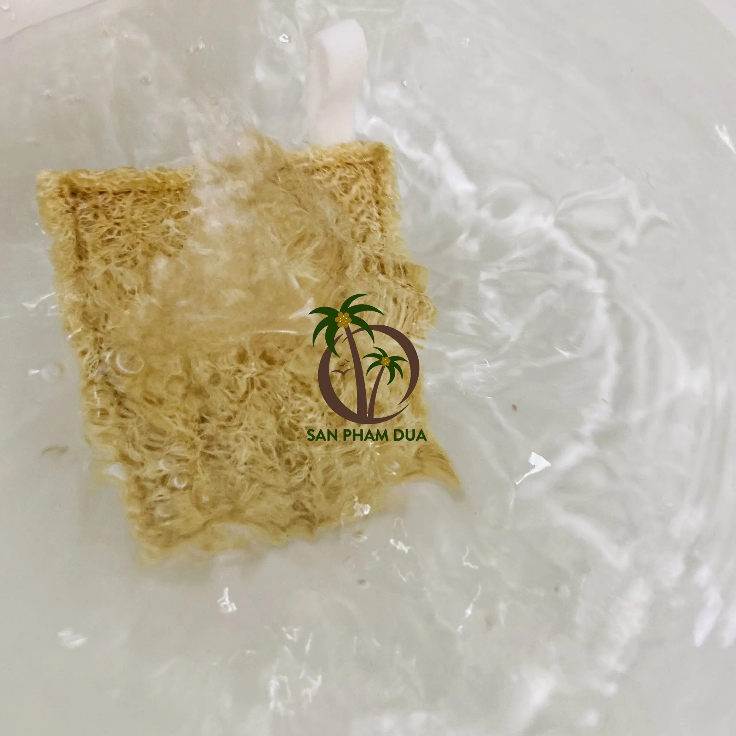 Mesh Sponge Exfoliating Bath Sponge Loofah Sponge made in Vietnam/Big sale Loofah Pad Kitchen Tableware Reusable Dish Washing