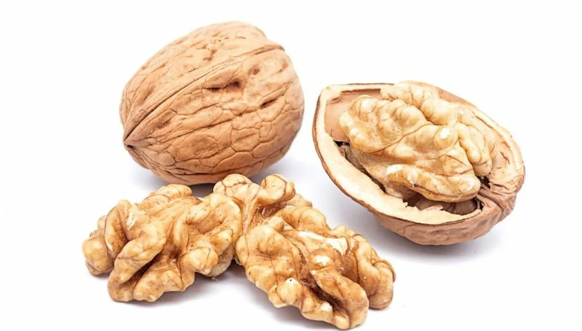 Organic Walnuts / Premium Quality Walnuts Kernel