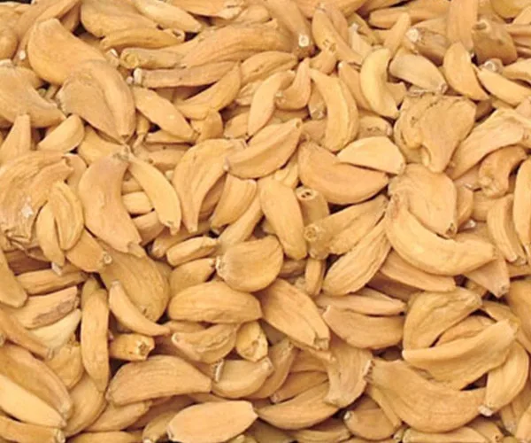 100% organic dehydrated garlic flakes Granules chopped and minced from india