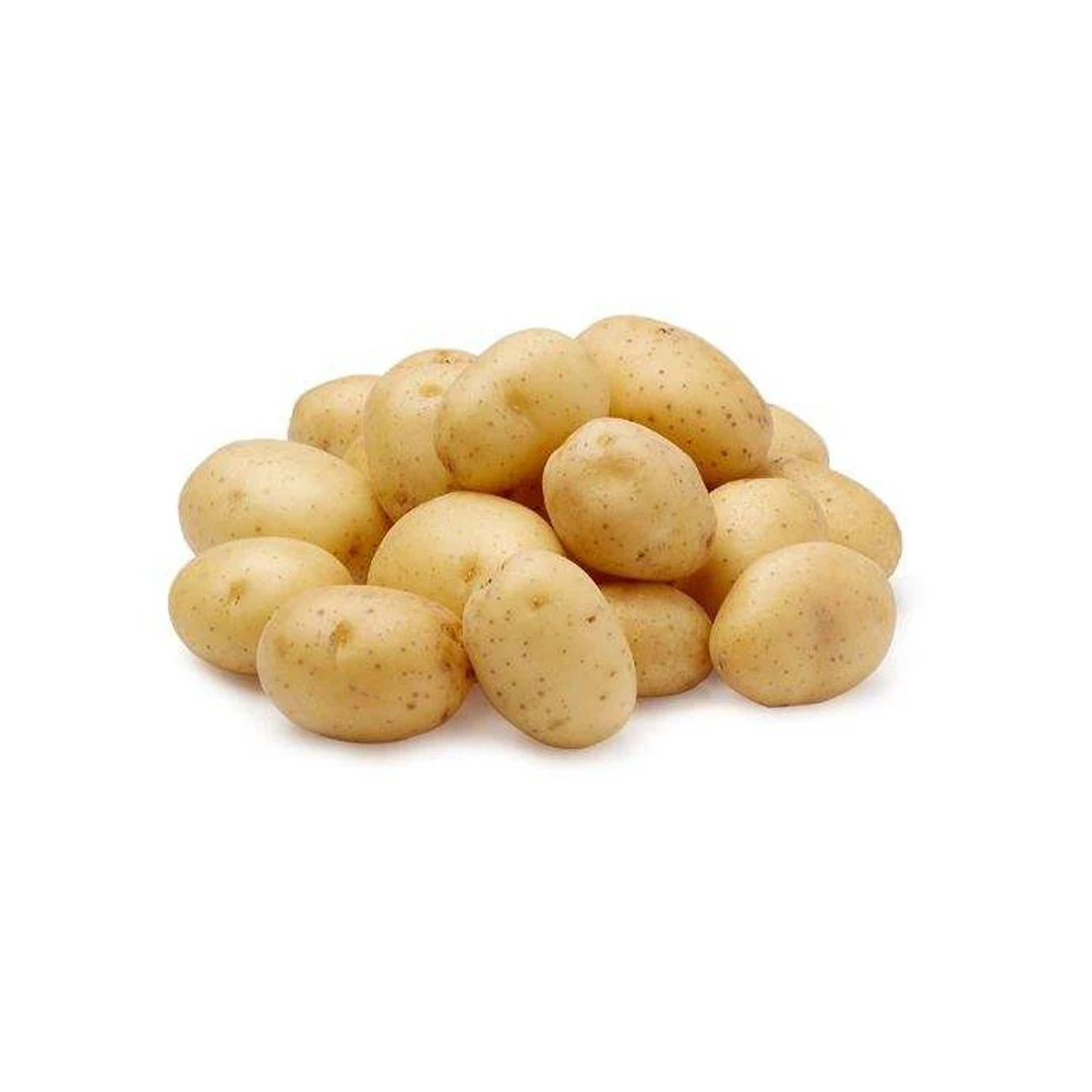 New Harvest Fresh Potatoes Exporters fresh potatoes From Europe