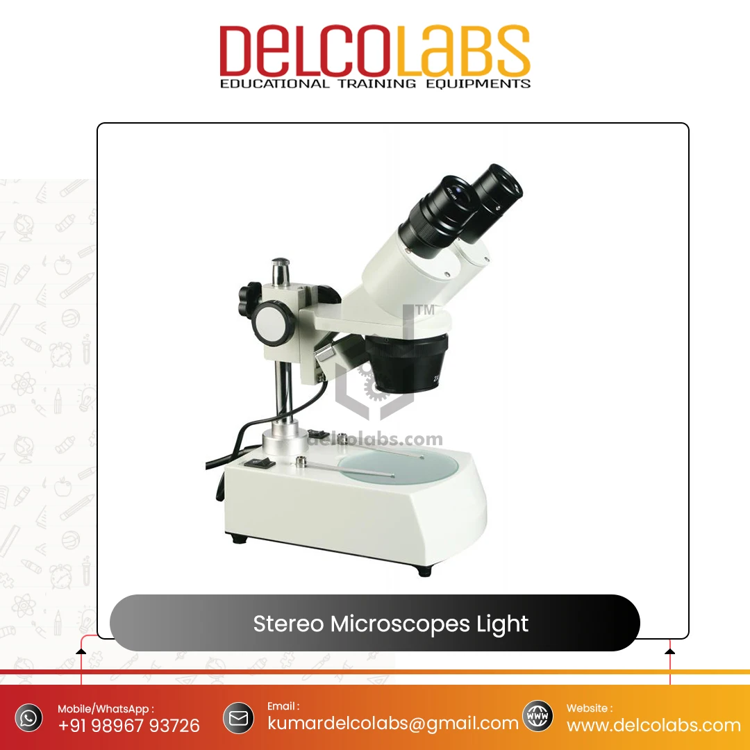 Delcolabs Stereo Microscopes Built in Light Biological Microscopes for Laboratories Teaching Manufacturer