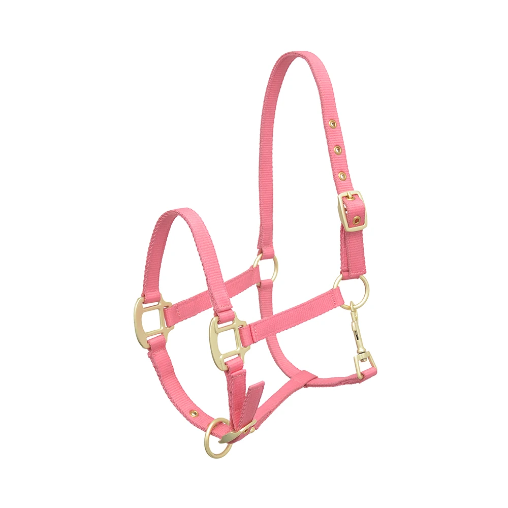 Лучшее качество конский халтер для верховой езды западный стиль нейлоновый аксессуар кожаный материал купить по низкой цене